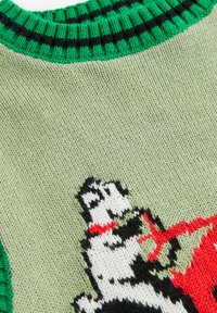 Gestrickter Pullover mit einem grünen gerippten Rundhalsausschnitt. Hauptkörper in hellgrün mit einem gestrickten Hundedesign in Schwarz und Weiß sowie roten Akzenten.