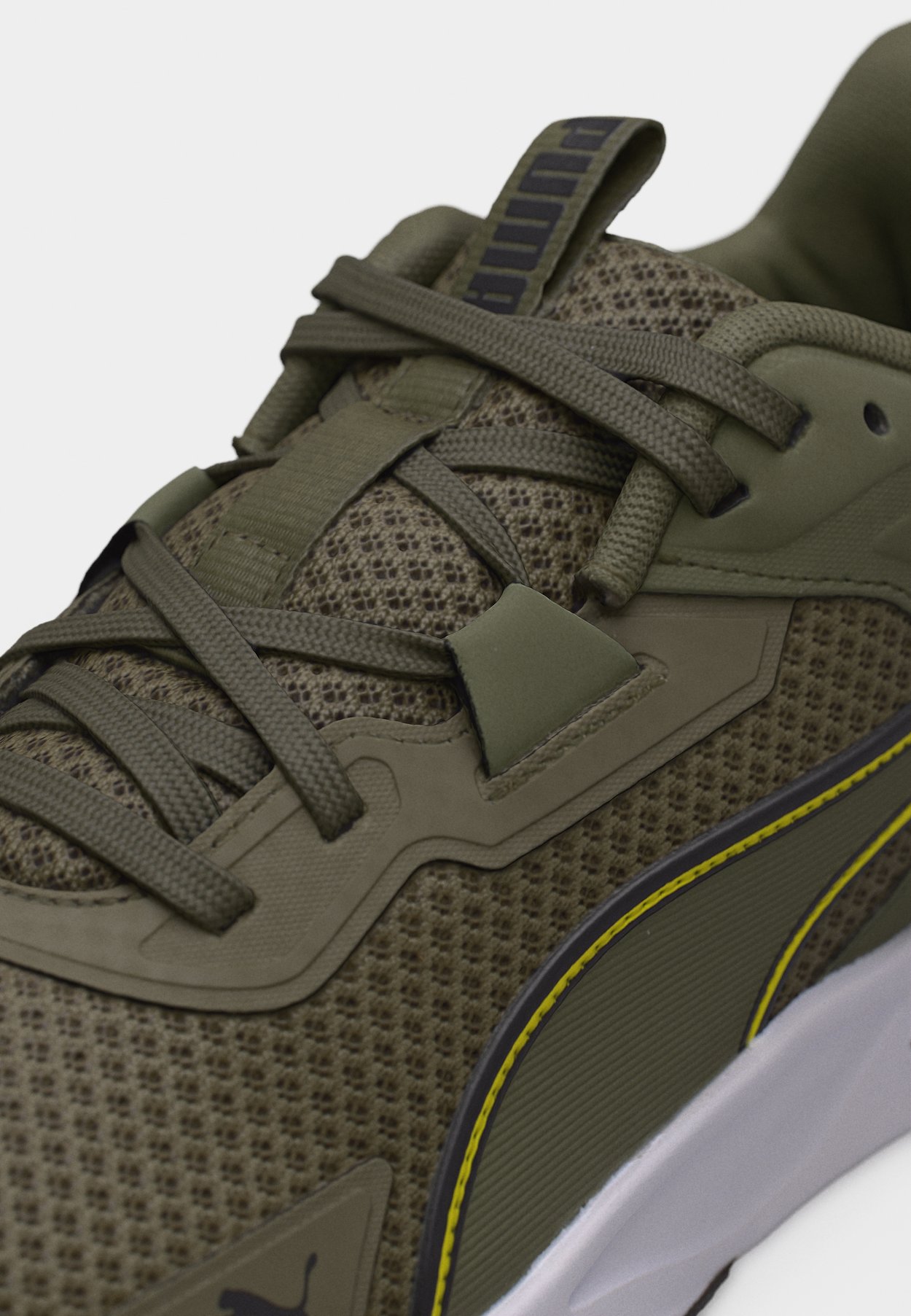 DISPERSE XT 4