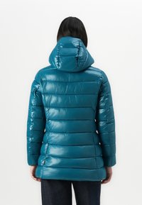 Persoon in een teal puffer jack met capuchon, gezien vanaf de achterkant tegen een effen witte achtergrond.