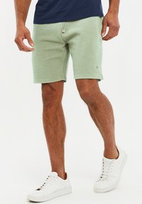 Threadbare THBFERGIE - Shorts - light green