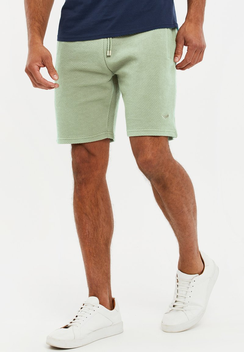 Threadbare THBFERGIE - Shorts - light green