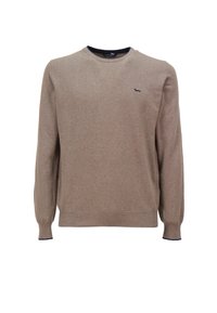 Maglione marrone con maniche lunghe, colletto rotondo, orlo e polsini a coste. Presenta un piccolo logo blu navy sul petto. Tessuto testurizzato.