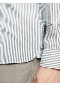 Tommy Hilfiger HERITAGE STRIPE SHIRT - Camicia - ornamental green optic white