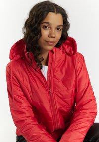 Giacca imbottita rossa con cappuccio, caratterizzata da una texture trapuntata, una zip frontale e regolazioni con cordini. Materiale leggero, design casual.