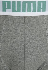 Puma PLACED LOGO 2 PACK - Trunks - sage