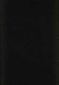 Czarna tkanina o subtelnej fakturze; ozdobiona wzorem małych złotych kropek wzdłuż lewego i prawego brzegu. Prosty, jednolity design.