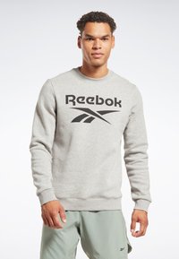 Joven vestido con un sudadera ligera gris de Reebok y pantalones cortos verde salvia, de pie contra un fondo blanco liso.