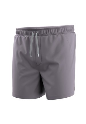 Smartwool, ACTIVE  LINED 5 - Shorts - purple storm