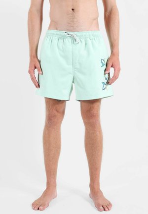 Homme portant un short de bain vert clair avec des motifs de papillons bleus et jaunes sur la jambe droite, debout pieds nus sur fond blanc.
