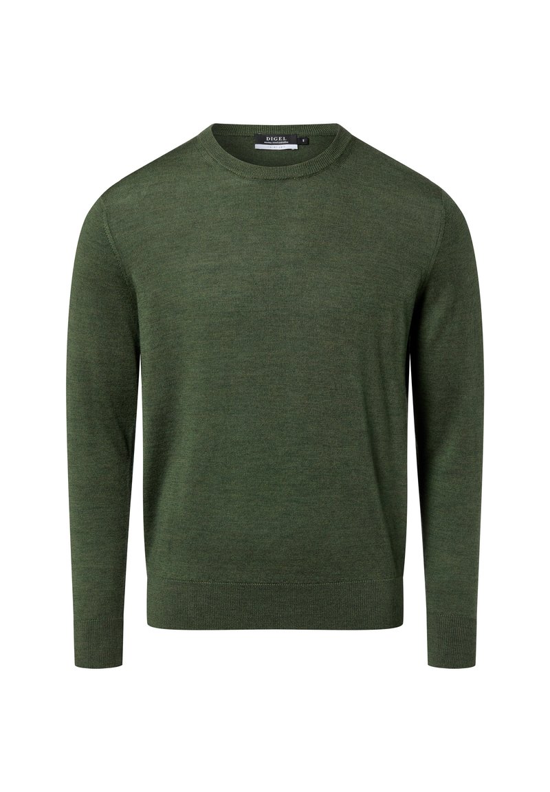 Grüner gestrickter Pullover mit Rundhalsausschnitt, langen Ärmeln und geripptem Saum. Glatte Textur und figurbetontes Design, ideal zum Schichten geeignet.