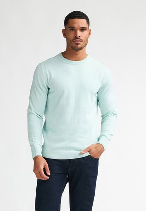 FINE-STEAMBOAT - Trui - cool mint