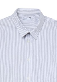 Camicia di cotone a righe blu chiaro e bianco, con colletto button-down, taschino frontale e bottoni bianchi. Etichetta con la scritta "TERRANOVA XL."