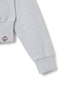 Manica di felpa grigia chiara con polsino a coste. Presenta un'etichetta cucita sul polsino, con la scritta "LOVE" in caratteri bordeaux.