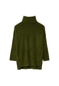 Pull col roulé tricoté vert olive avec col et poignets côtelés. Présente une coupe ample et un ourlet arrière légèrement plus long. Texture douce.