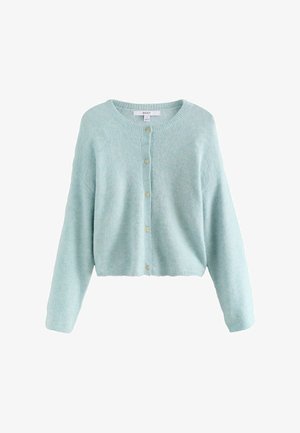 Light blue cardigan made of soft knit material, featuring a round neckline, button front closure, and loose-fitting long sleeves.