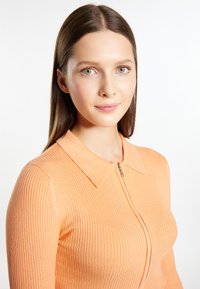Glamūrinis, šviesiai oranžinis, su užtrauktuku ir raukšlėtu dizainu, su apykakle ir išliekančia forma, sukurtas su smulkia tekstūra ir lygiu paviršiumi.