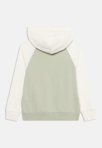 Sudadera verde y crema con capucha ajustable, mangas raglán y puños acanalados. Material de mezcla de algodón suave con una textura lisa.