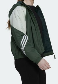 Vihreä tuulitakki vaaleanvihrein korostuksin, jossa valkoiset raidat hihoissa ja kuminauhakujitetut hihansuut. Kevyt, vetoketjullinen hupulla.