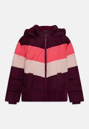 CLASSIC WARMEST GIRLS - Chaqueta de invierno - beach plum