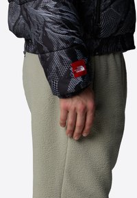 The North Face Zimní bunda - tnf black d summit mes