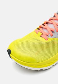 Altra VANISH CARBON 2 - Bėgimo batai plentui - gray/lime