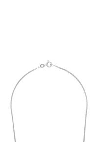 Collana in argento con un delicato design intrecciato, caratterizzata da una chiusura a gabbiano e una superficie liscia e lucida.