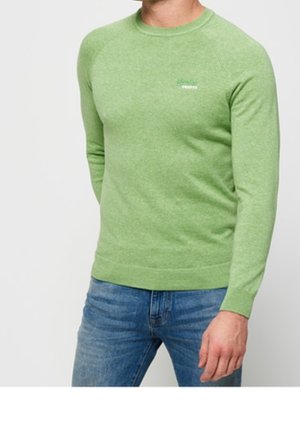 Mand iført en lysegrøn trøje med lange ærmer og blå jeans, stående med den ene hånd let fremefter mod en ensfarvet baggrund.