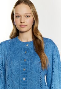 Cárdigan de punto azul cielo con patrones de trenzado, cuello redondo y botones florales plateados. Textura suave, mangas largas y detalles intrincados.