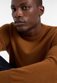 Maglione a maglia marrone con scollatura rotonda, caratterizzato da una sottile trama e polsini a costine, indossato da un modello in posizione seduta.