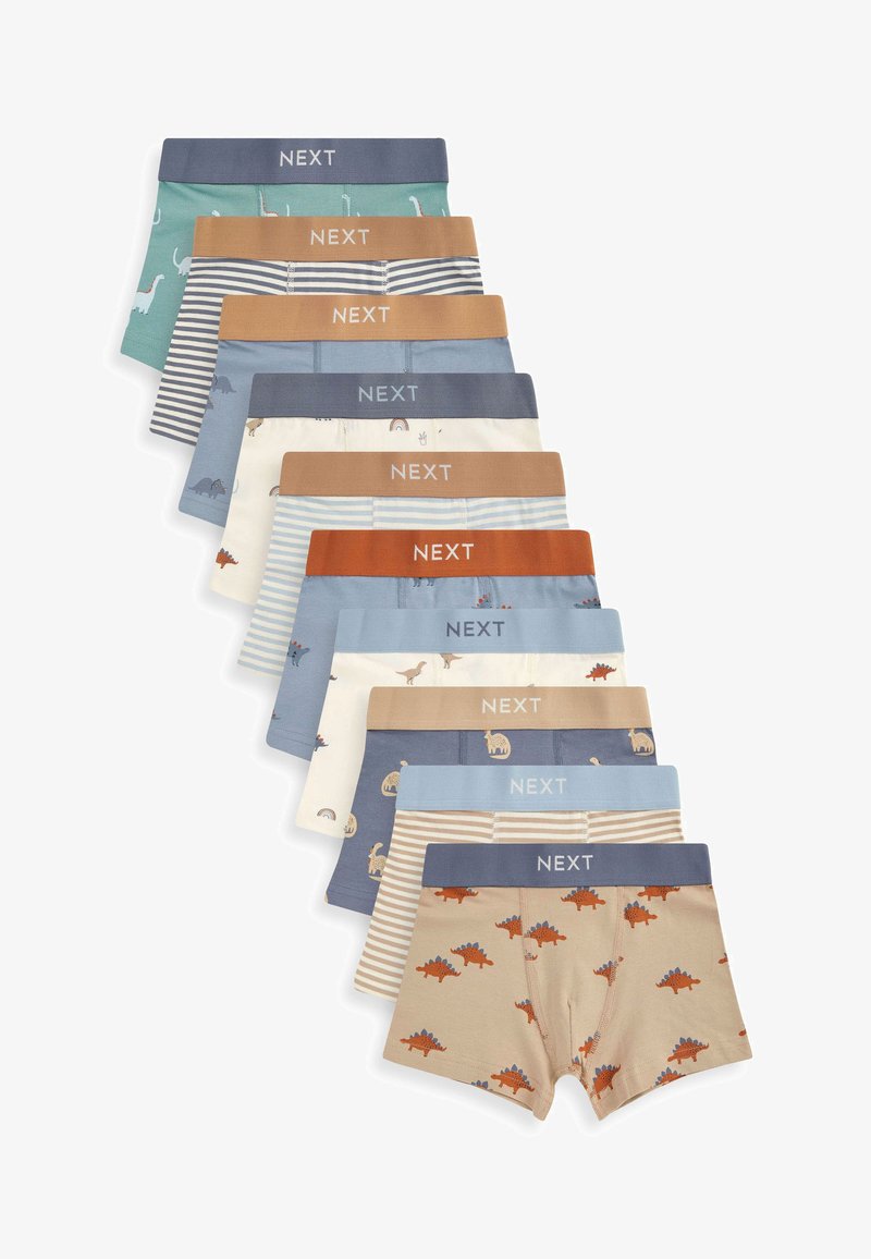 Next 10 PACK STANDARD - Panties - mineral dinosaur
