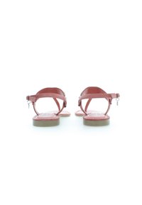 U.S. Polo Assn. Tåsandaler - canyon rose