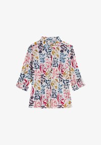 Nevybráno, multi inky botanical chalk