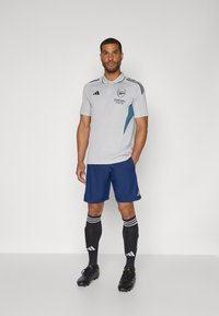 Mænds lys grå fodboldtrøje med teal detaljer, Adidas-logo og sponsortekst. Bæres med marineblå shorts og sorte strømper med hvide striber.