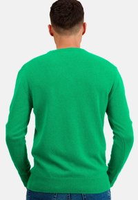 Mahogany HIPPOLYTE - Pullover - new green