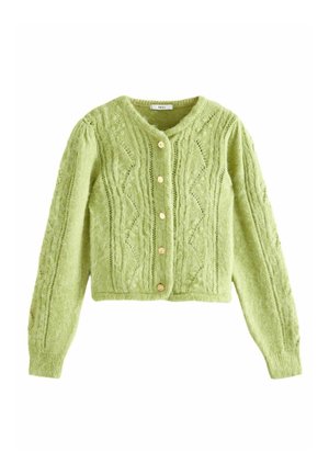 GOLD BUTTON STITCH CREW REGULAR FIT - Cardigan - green