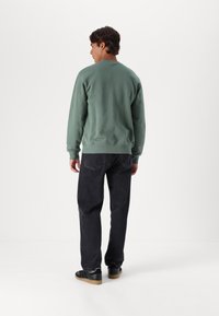Carhartt WIP FLYING DUCKS - Sudadera - green