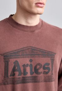 Brun sweatshirt med ribbet krave har et sort grafisk design af en bygning og ordet "Aries" i fed typografi.
