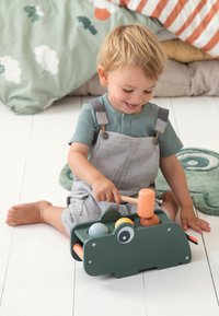 Groen houten speelgoed in de vorm van een dier met diverse gekleurde ballen en een hamer; heeft een vriendelijk gezicht en afgeronde randen voor veiligheid.