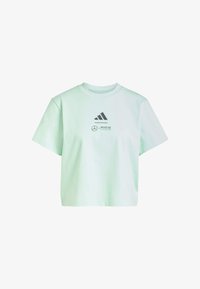 Odabrano, frozen green grey strata