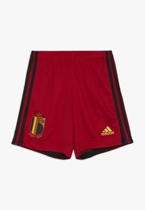 adidas Performance BELGIUM RBFA HOME SHORTS - Kurze Sporthose - collegiate red