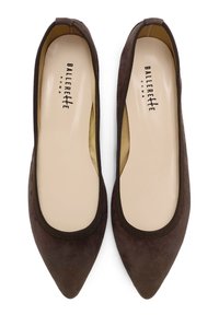 Ballerine in suede marrone con punta affusolata, bordo elastico e un'insole liscia beige impressa con il nome del marchio "BALLERETTE—ROMA."