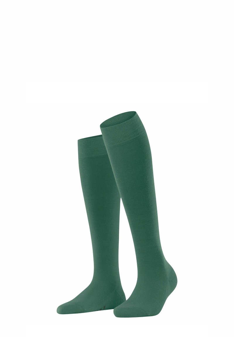 FALKE SOFTMERINO - Kniestrümpfe - caiman