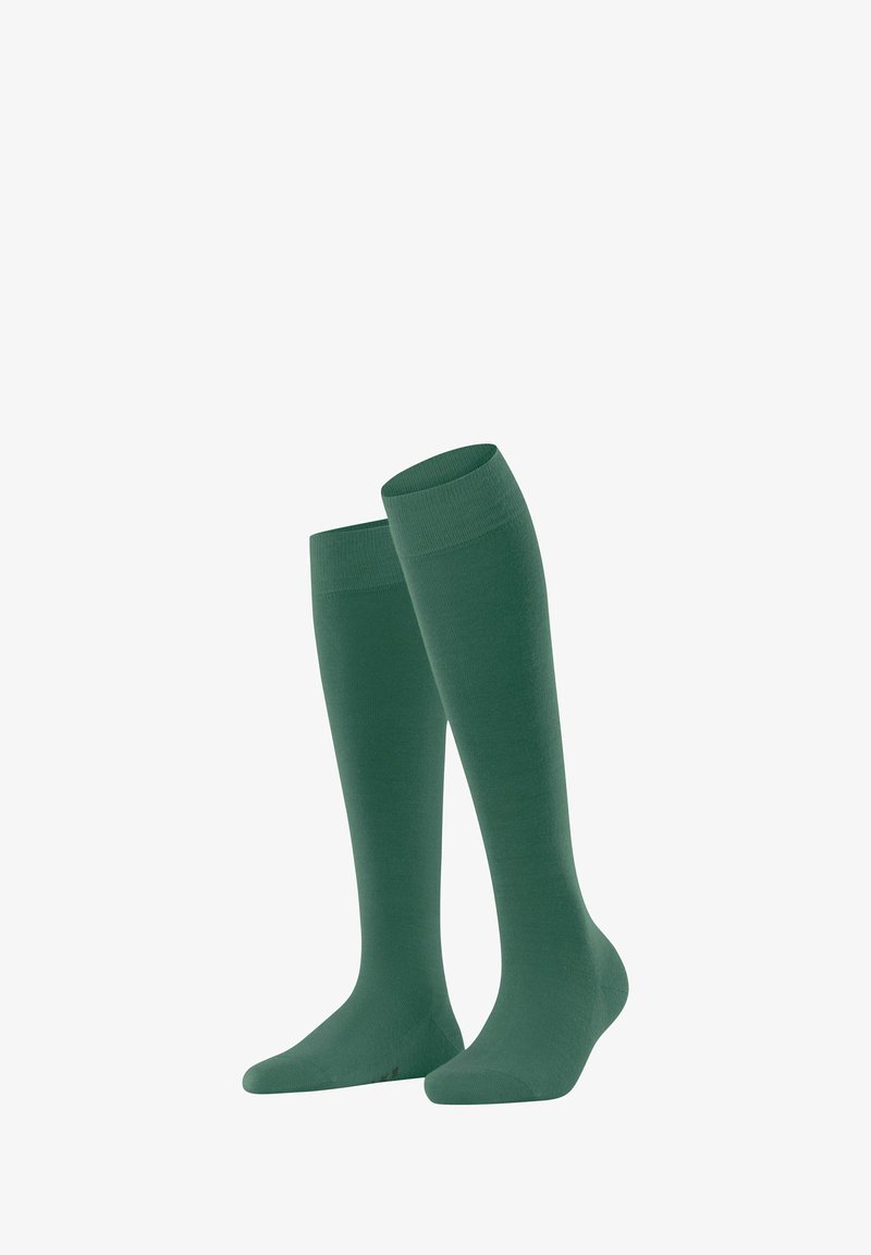 FALKE SOFTMERINO - Kniestrümpfe - caiman
