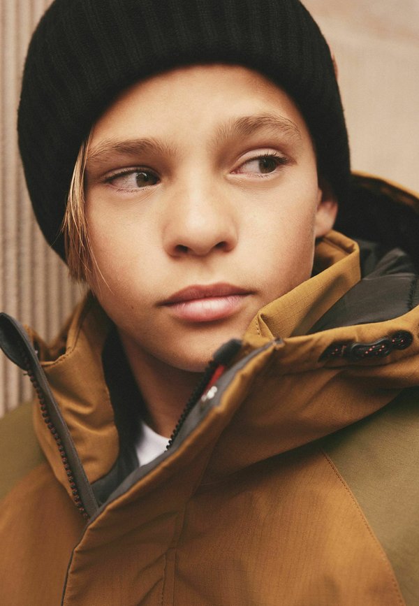 HEAVYWEIGHT - REGULAR FIT - Parka - multi