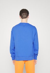 Polo Ralph Lauren Sweatshirt - blue