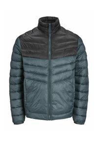 Vinterjakker - magical forest