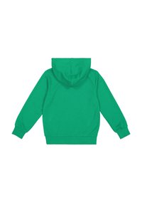 Felpa verde con cappuccio regolabile, polsini e fondo a costine; realizzata in tessuto morbido e testurizzato. Nessuna decorazione o motivo aggiuntivo.