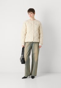 Calvin Klein Jeans INSULATED LINER JACKET - Winterjas - fog