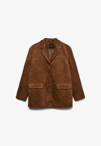 Non sélectionné, dachshund