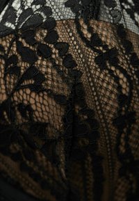 Black lace fabric featuring floral patterns and intricate detailing. Transparent sections reveal a smooth underlying layer. Textured, delicate design.